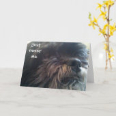 NOSEY ME - 40e CARTE D'ANNIVERSAIRE (Fleur jaune)