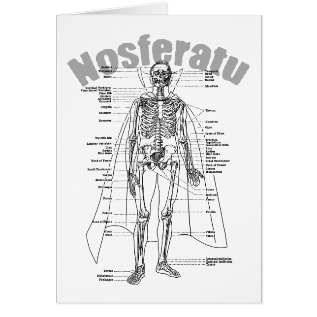 Nosferatu (Voorkant)