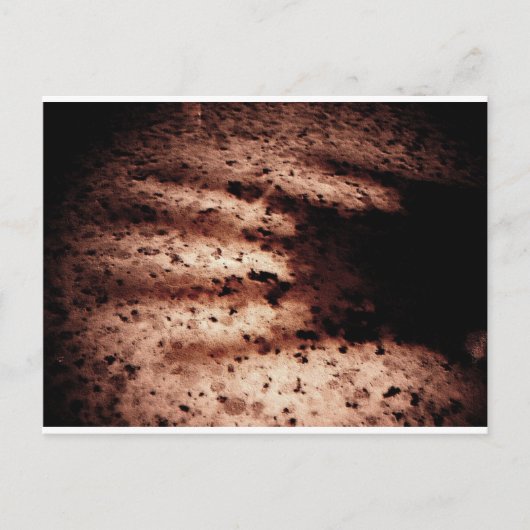 Nosferatu Briefkaart (Voorkant)