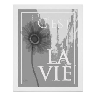 nostalgic flower art -gerbera- perfect poster