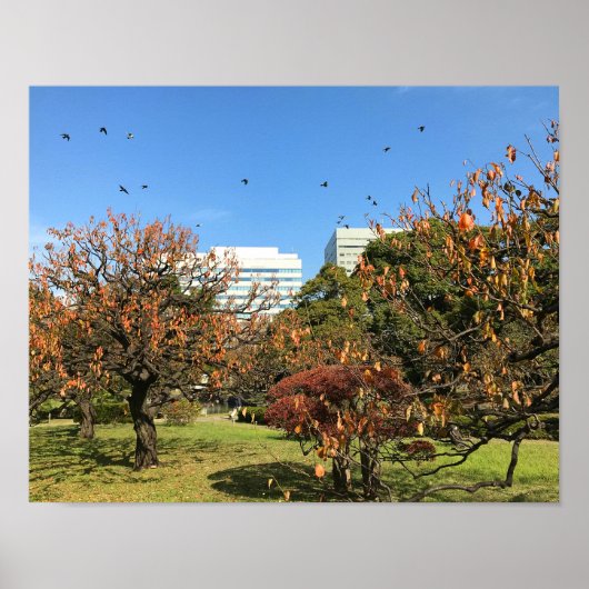 Nostalgisch Autumn Sky Poster (Voorkant)