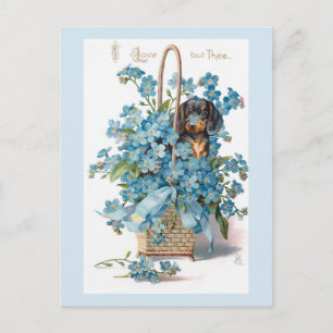 Nostalgische Floral Valentijn met Dachsund Feestdagenkaart