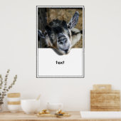 Nosy Goat die uitkijkt Poster (Keuken)