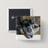 Nosy Goat die uitkijkt Vierkante Button 5,1 Cm (Voorkant /achterkant)