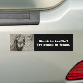 Nosy kamelotorsticker bumpersticker (Op auto)