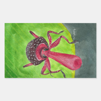 Nosy Rechthoekige Sticker