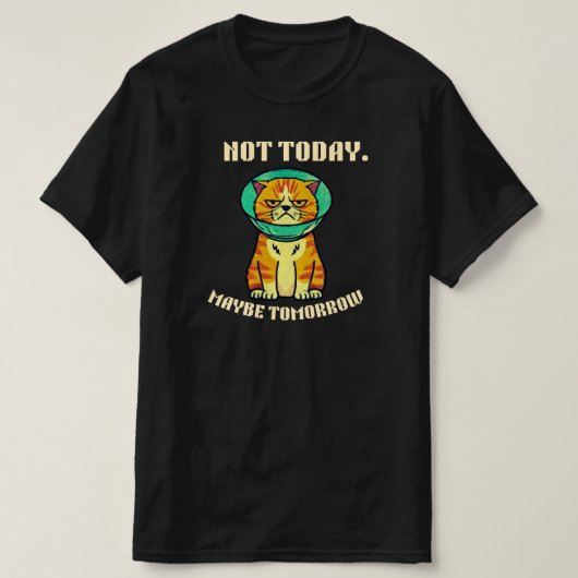 Not Today Maybe Tomorrow Funny Grumpy Cat Design T-shirt (Design voorkant)