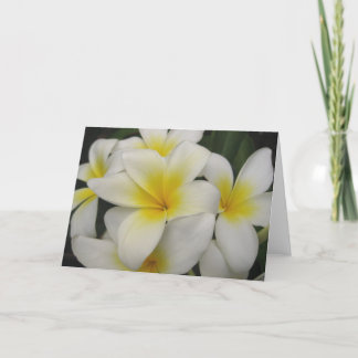 nota kaart - witte plumerias
