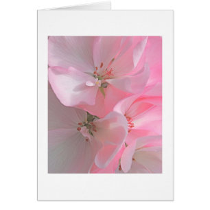 Note blanche de jolies fleurs roses