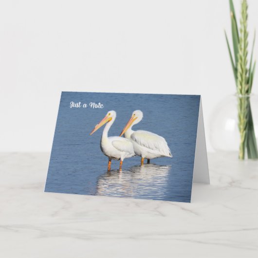 Note Card met White Pelicans Kaart (Voorkant)