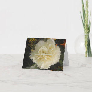 Note Card White Carnance Beauty Kaart