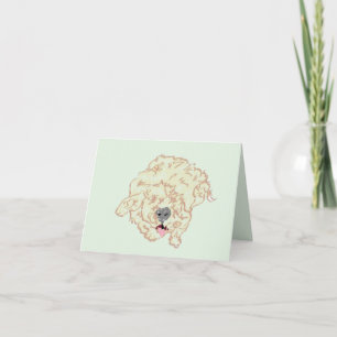 Note : Goldendoodle