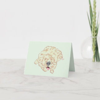 Note : Goldendoodle
