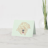 Note : Goldendoodle (Devant)