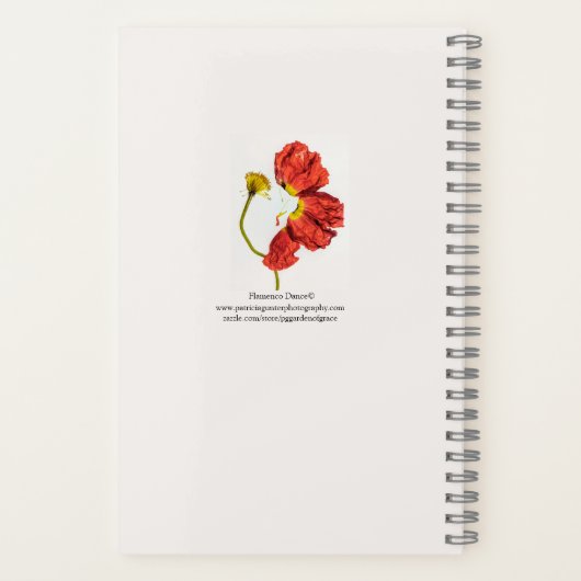 Note pour le Carnet à spirale (Verso)