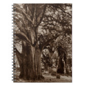Notebook Journal Genealogy Graveyard Yew Stones Notitieboek (Voorkant)