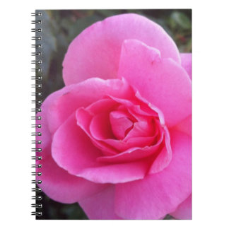 Notebook - Roze Rose Notitieboek
