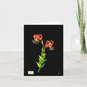 Notecard-Botanical Art-Mary Delany 11 Kaart