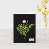 Notecard-Botanical Art-Mary Delany 15 Kaart (Gele Bloem)