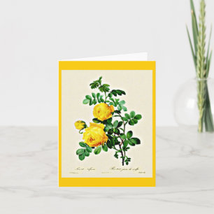 Notecard-Botanicals-Pierre Joseph Redoute 13 Kaart