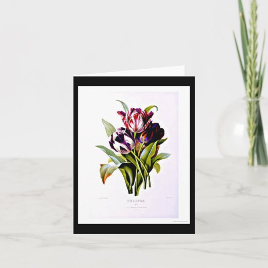 Notecard-Botanicals-Pierre Joseph Redoute 15 Kaart (Voorkant)