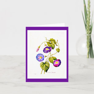 Notecard-Botanicals-Pierre Joseph Redoute 6 Kaart