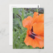 Notecard Briefkaart (Voorkant / Achterkant)