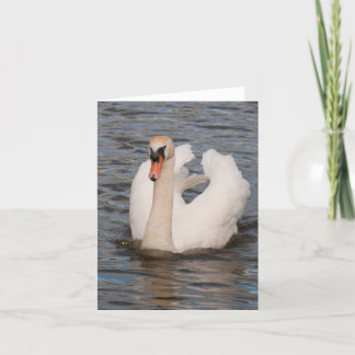 Notecard: De Mannelijke Stodde Zwaan van de Kaart