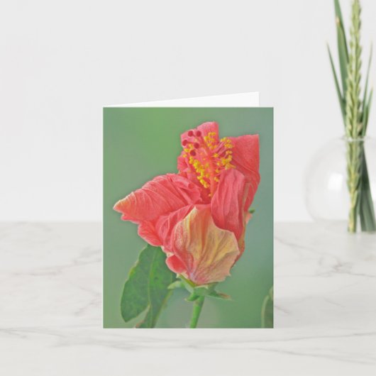 NOTECARD, FLORAL, RED HIBISCUS/TEXTURE KAART (Voorkant)