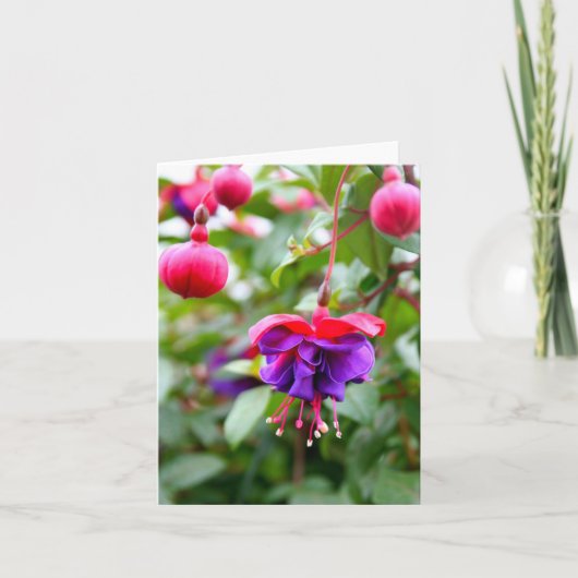 Notecard Fuschia Kaart (Voorkant)