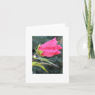 Notecard met briljante rode bloem kaart