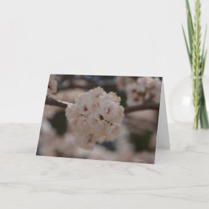 Notecard met de Canadese Bloesem van de Boom van Kaart