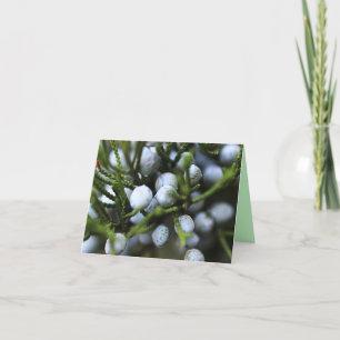 Notecard met Juniper Berries Kaart