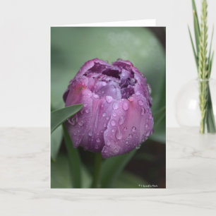 Notecard met paarse tulp kaart
