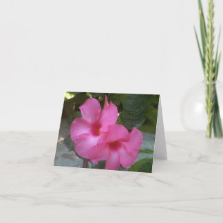 Notecard met roze bloemen kaart