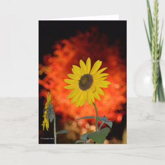 Notecard met Zonnebloem Kaart