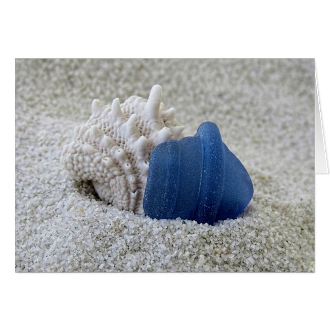 Notecard - Seashell en Blue Zee Glass (Voorkant Horizontaal)