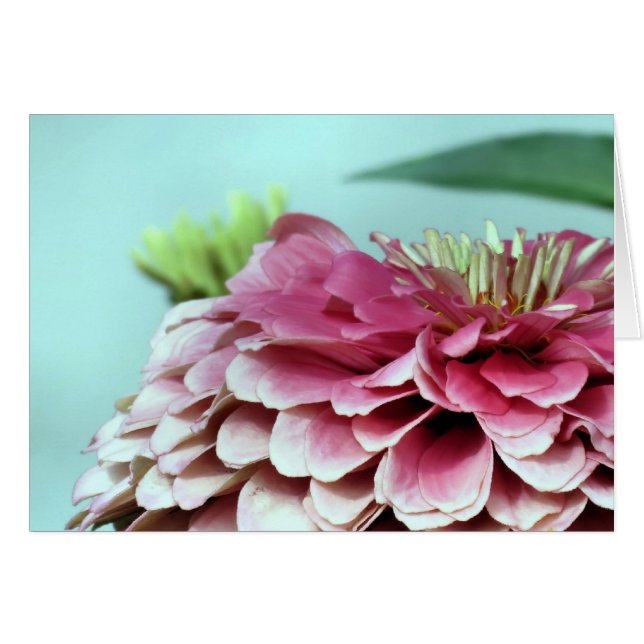 Notecard - Zinnia Petals (Voorkant Horizontaal)