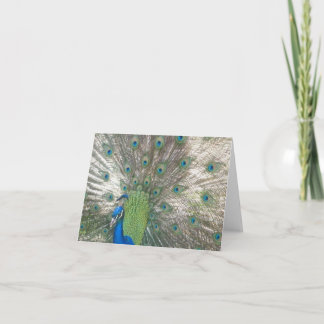 Notecards van de pauw kaart