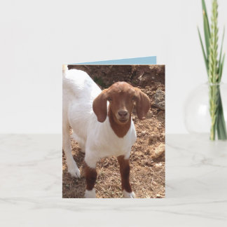 Notecards van de pret kaart