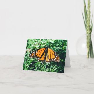 Notecards van de vlinder kaart