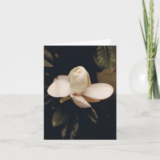 Noteer Kaart met Magnolia Blossom (Voorkant)