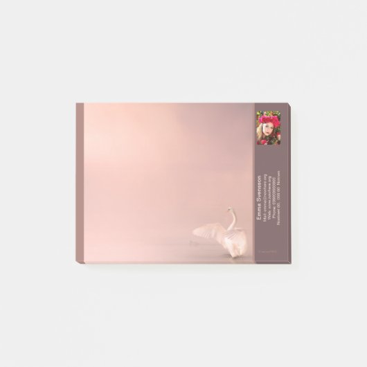 Notes — Connect, Swan (Voorkant)