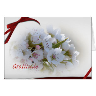 Notes de Gratitude Florale Blanche