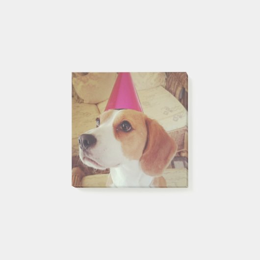 Notes de post-it de beagle d'anniversaire (Devant)