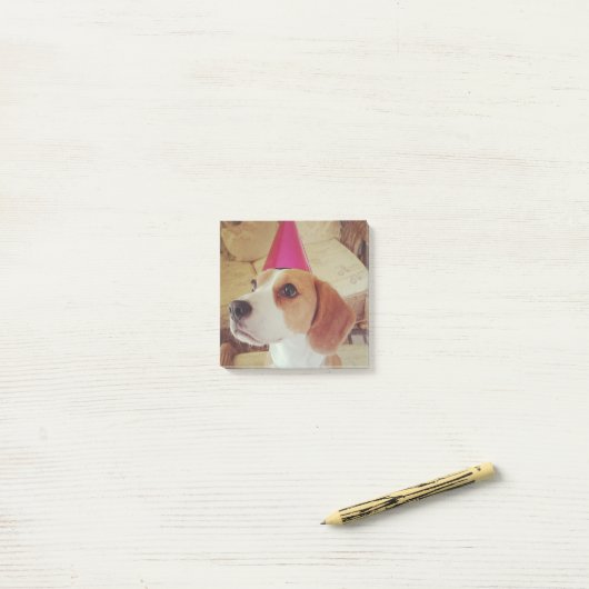 Notes de post-it de beagle d'anniversaire (Sur un bureau)