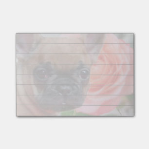 Notes de post-it de bouledogue français