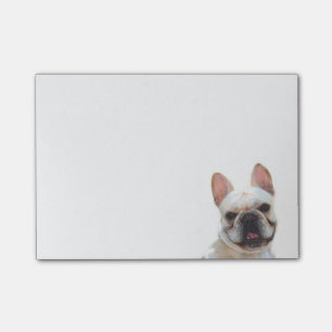 Notes de post-it de bouledogue français