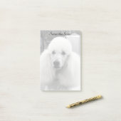 Notes de post-it de chien de caniche (Sur un bureau)