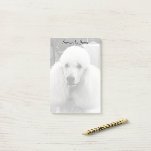 Notes de post-it de chien de caniche (Sur un bureau)